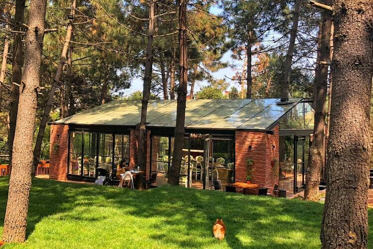 geyikli ayazaga istanbul zomato